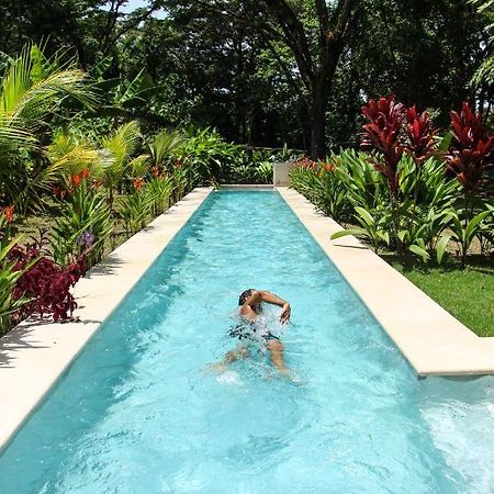 Cabuya  Feeling Trees Jungle Lodge מראה חיצוני תמונה