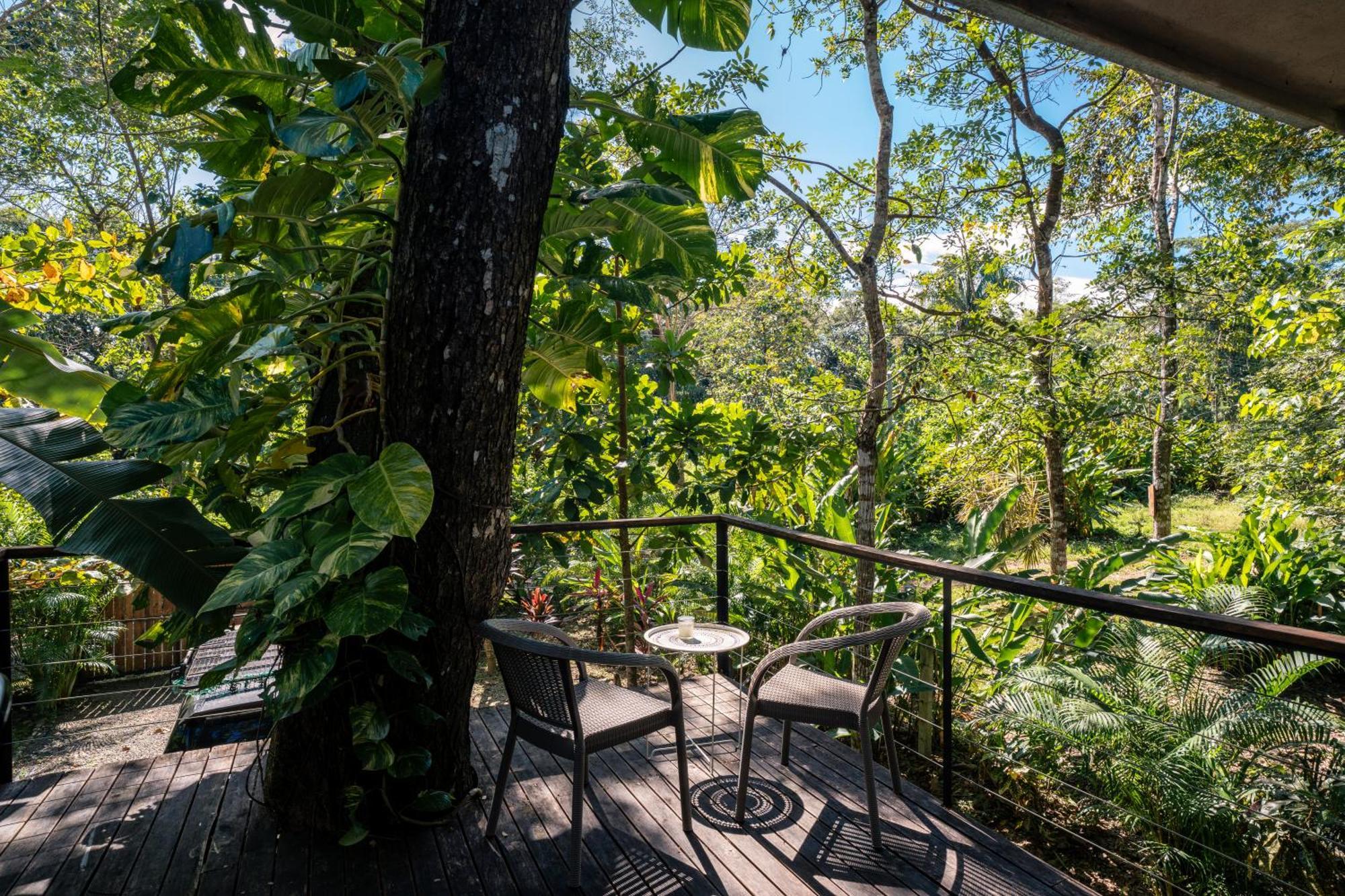 Cabuya  Feeling Trees Jungle Lodge מראה חיצוני תמונה