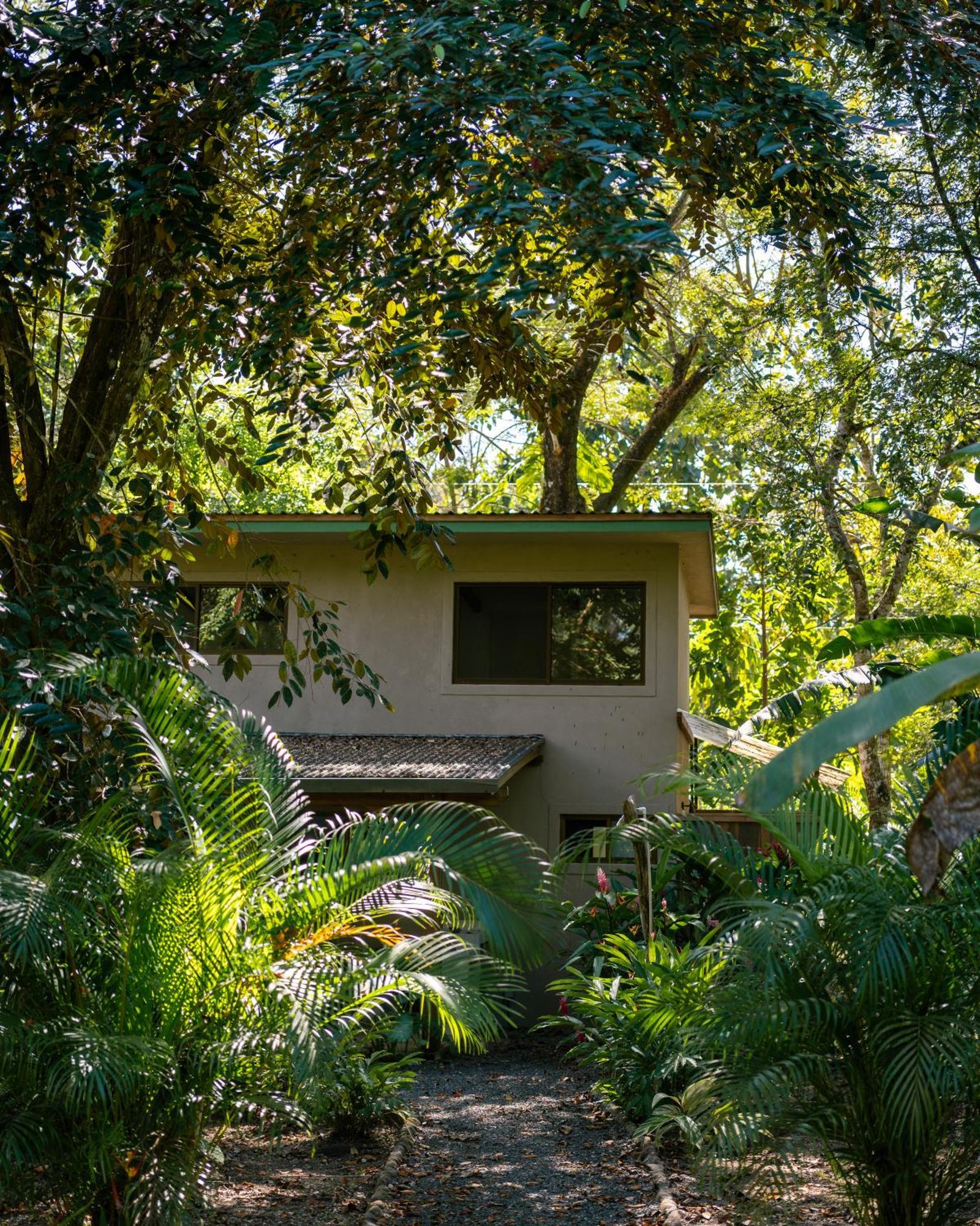 Cabuya  Feeling Trees Jungle Lodge מראה חיצוני תמונה