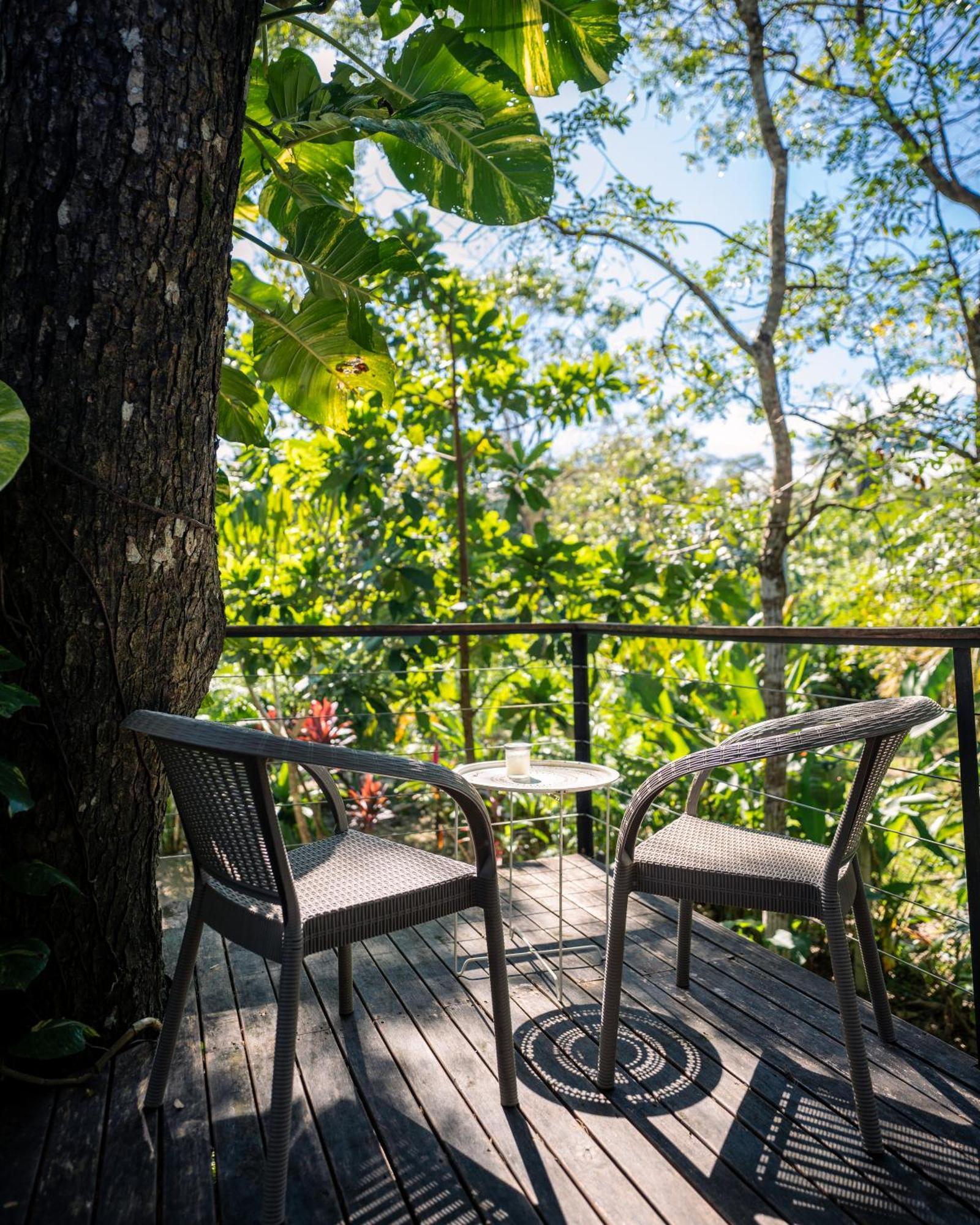 Cabuya  Feeling Trees Jungle Lodge מראה חיצוני תמונה