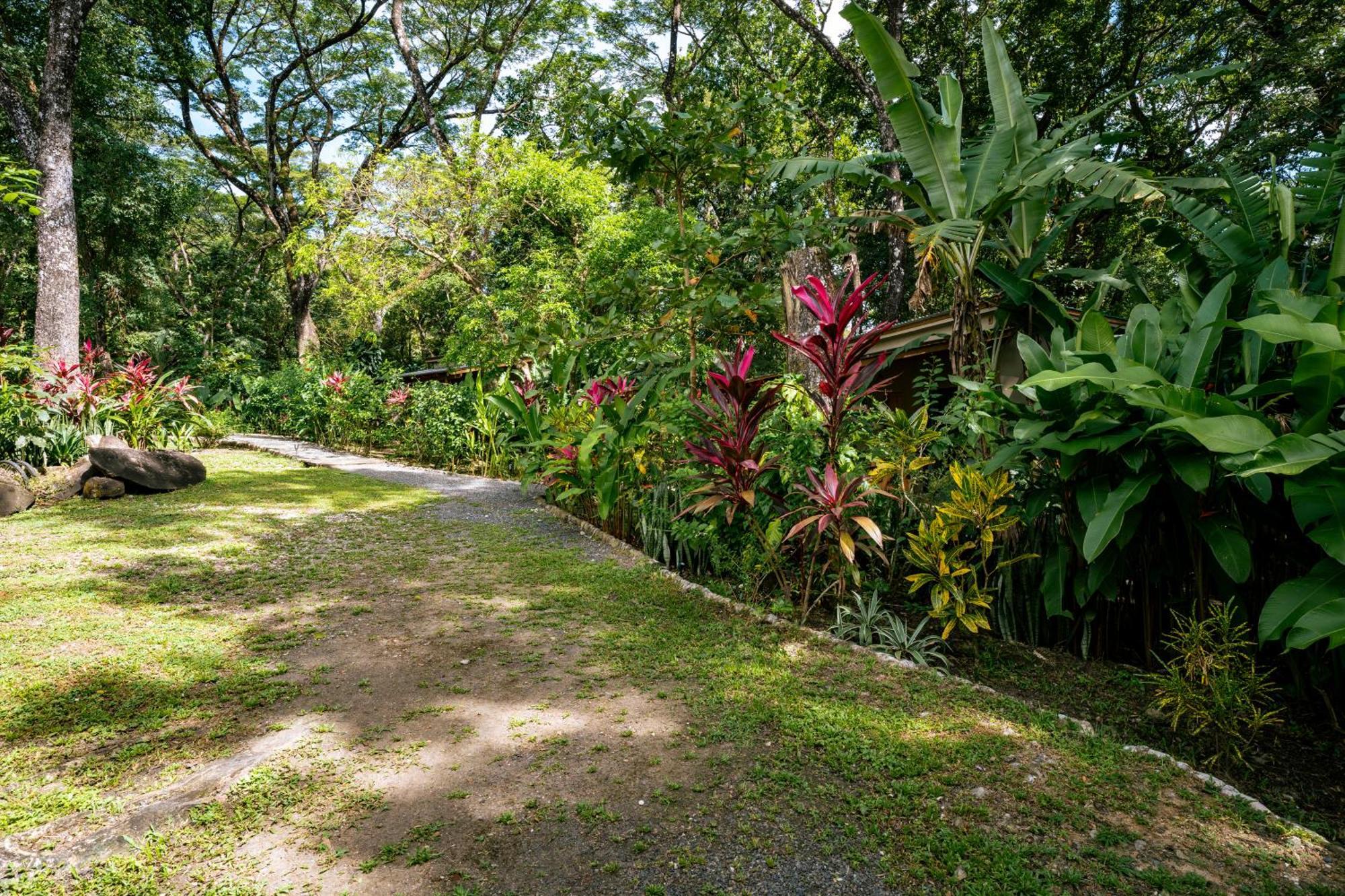 Cabuya  Feeling Trees Jungle Lodge מראה חיצוני תמונה
