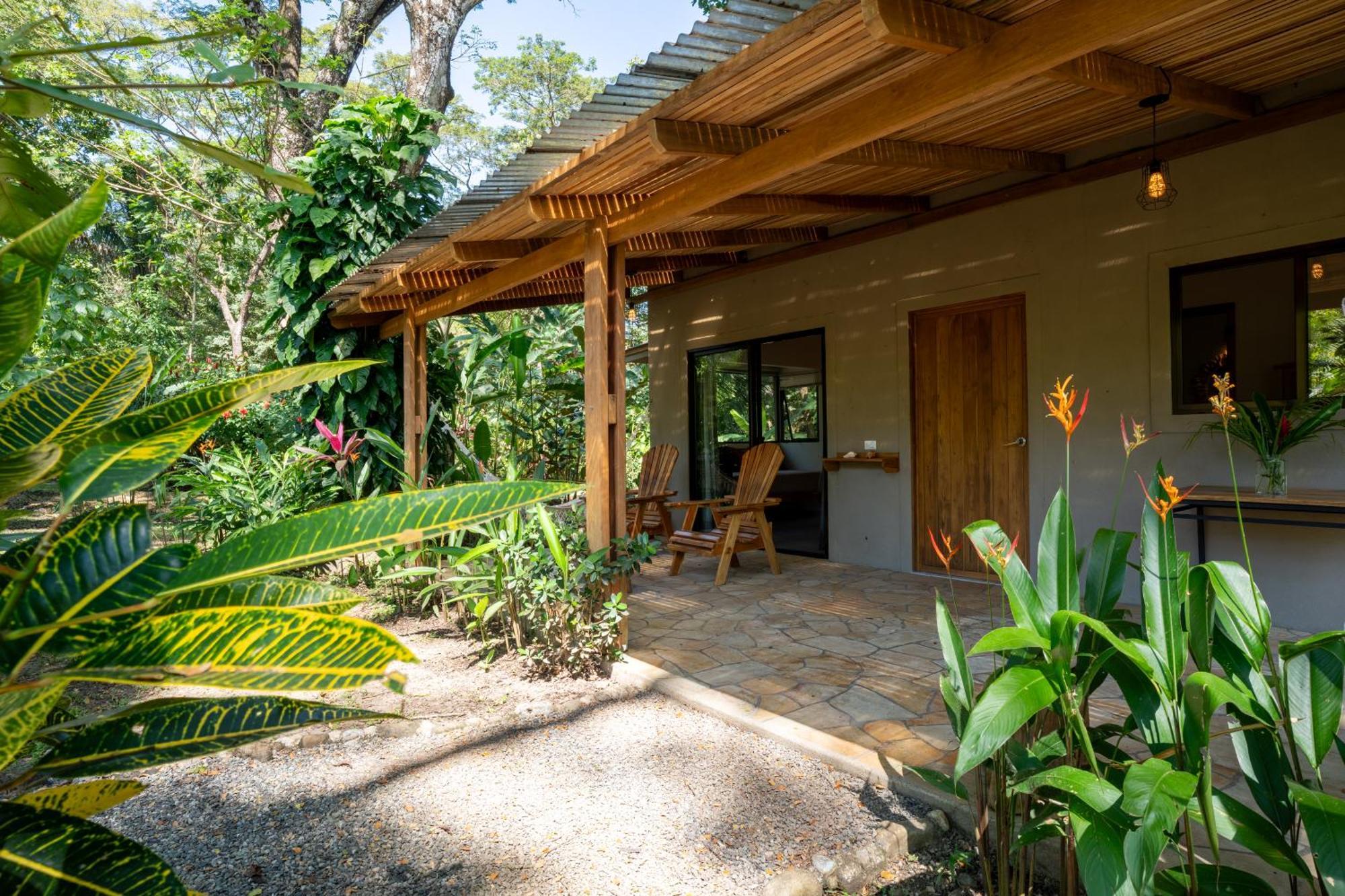 Cabuya  Feeling Trees Jungle Lodge מראה חיצוני תמונה