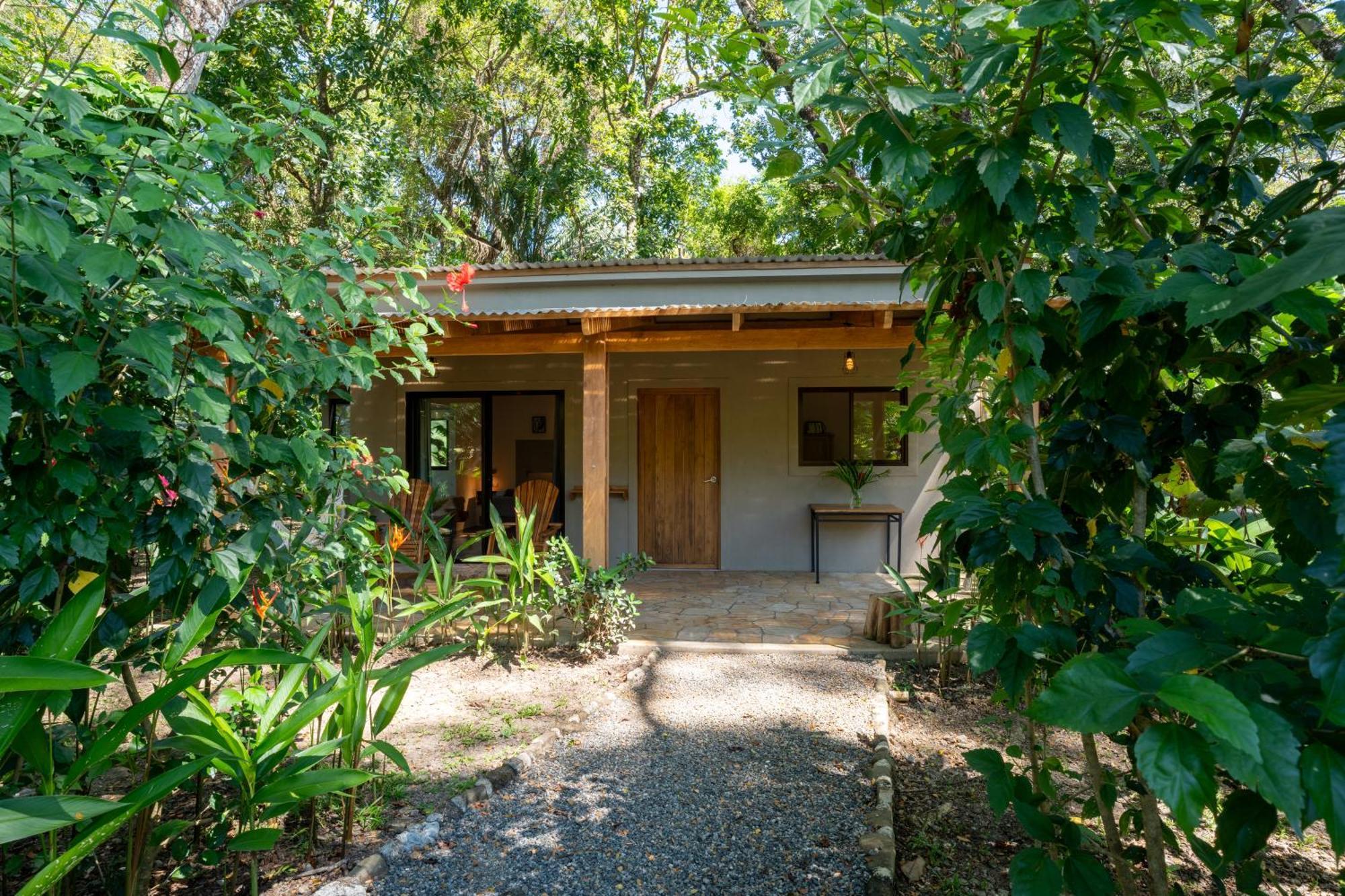 Cabuya  Feeling Trees Jungle Lodge מראה חיצוני תמונה