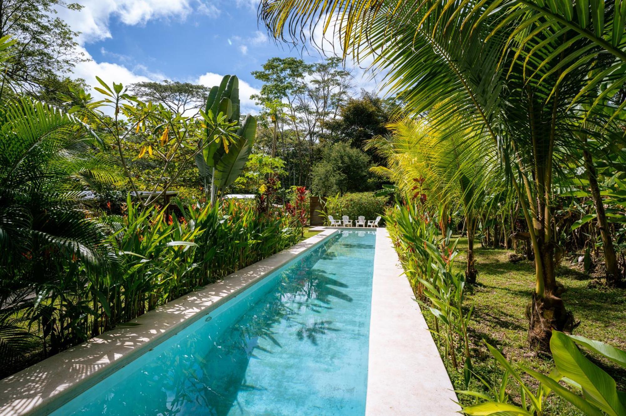 Cabuya  Feeling Trees Jungle Lodge מראה חיצוני תמונה