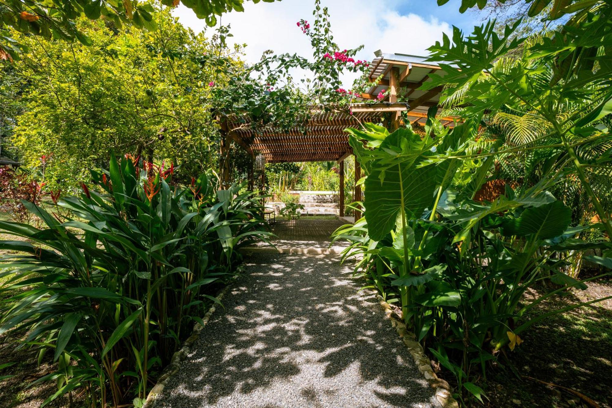 Cabuya  Feeling Trees Jungle Lodge מראה חיצוני תמונה