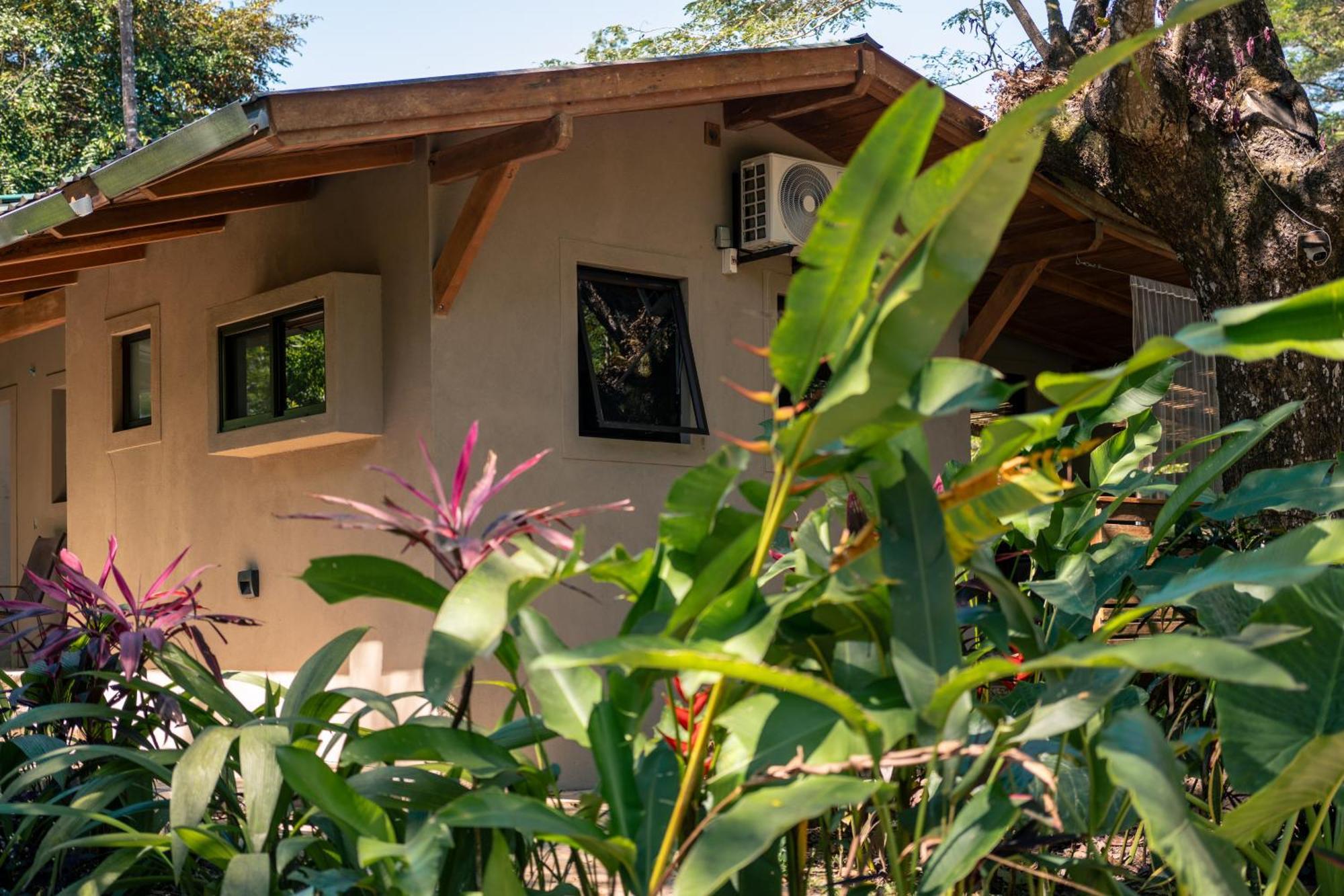 Cabuya  Feeling Trees Jungle Lodge מראה חיצוני תמונה
