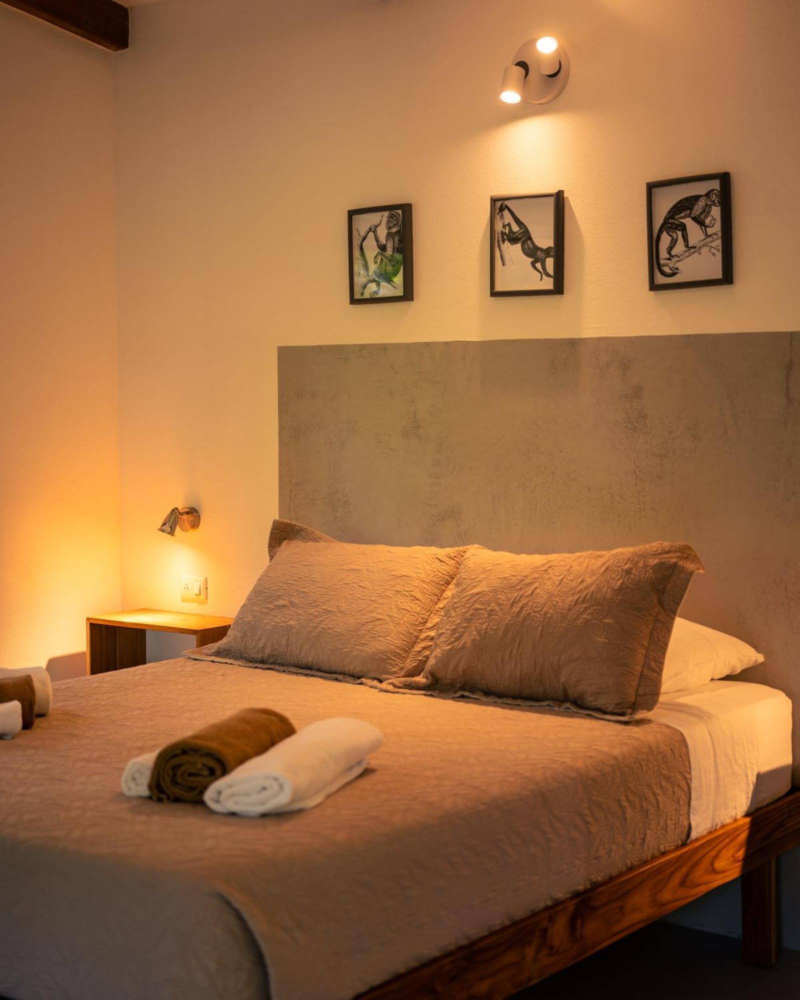 Cabuya  Feeling Trees Jungle Lodge מראה חיצוני תמונה