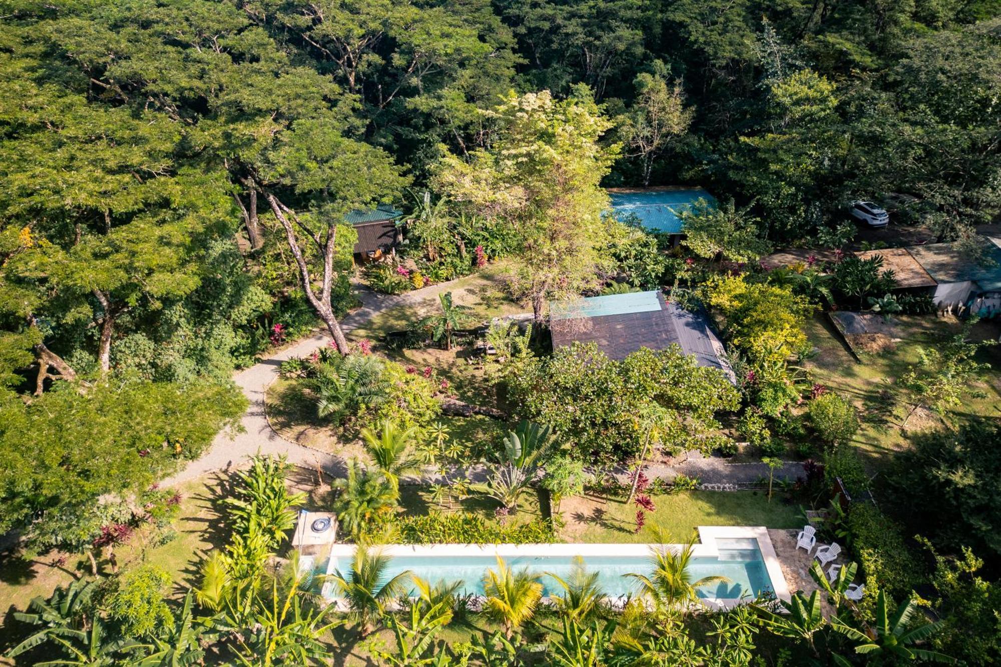 Cabuya  Feeling Trees Jungle Lodge מראה חיצוני תמונה