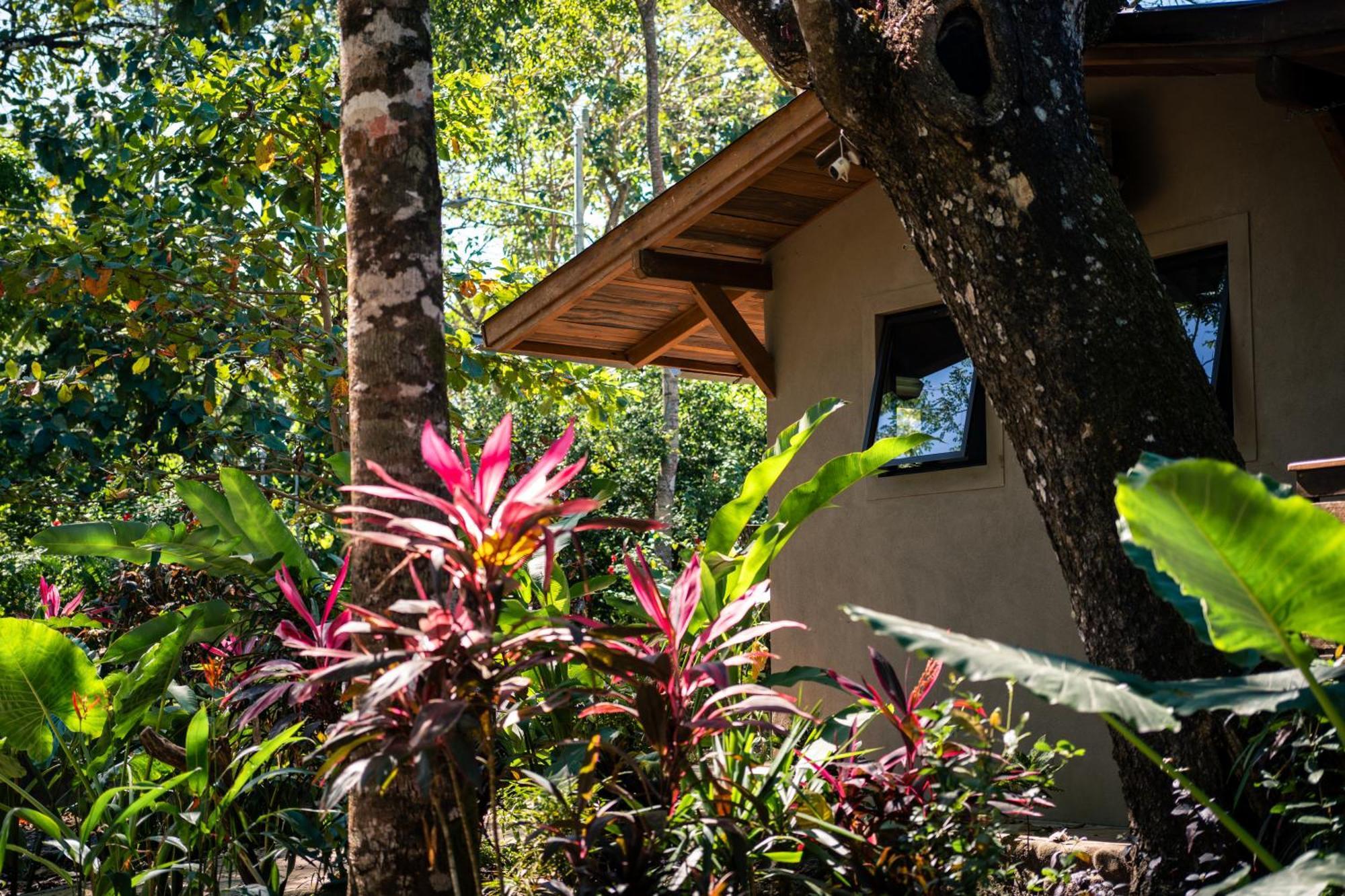 Cabuya  Feeling Trees Jungle Lodge מראה חיצוני תמונה